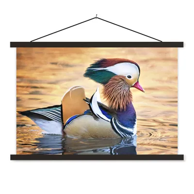 Produktbild von MuchoWow® Textilposter Ente - Wasser - Tier 60x40 cm mit schwarzem Rahmen - Hölzernes