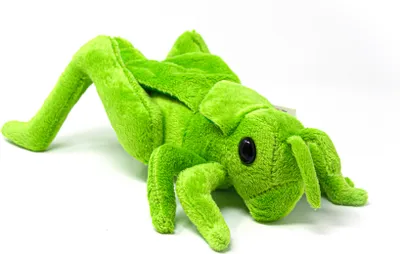 A plush toy grasshopper on a white background.