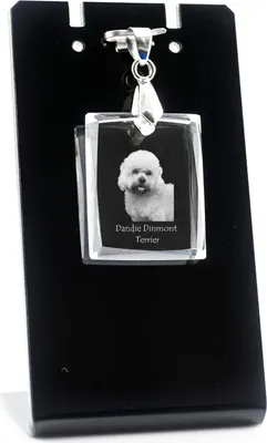 Image de Dandie Dinmont Terrier - Pendentif en cristal avec chien, collier avec photo, bijoux uniques d'Art-Dog