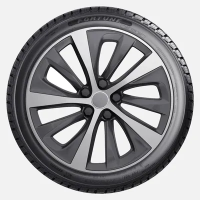 Immagine prodotto di 165/70R14 81T Fsr 401