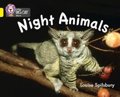 Obrázek produktu pro Night Animals