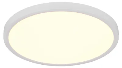 Obrázok produktu pre Stropné svietidlo LED, kov, matná biela, stmievač, D 40 cm