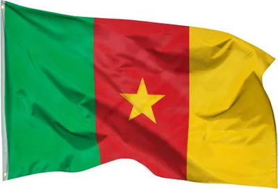 Obrázok produktu pre PHENO FLAGS Kamerunská vlajka 90 x 150 cm Kamerunská vlajka Afrika 2 očká
