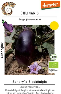 Produktbild von Benary´s Blaukönigin Aubergine