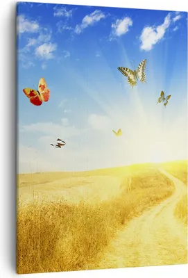 Produktbild von Bild auf Leinwand - Leinwandbild - Einteilig - Schmetterlinge Wiese Gras - 50x70cm - Wand Bild - Wanddeko - Wandbilder - Leinwanddruck - Wanddekoration - Leinwand bilder - Wandbild - PA50x70-0517