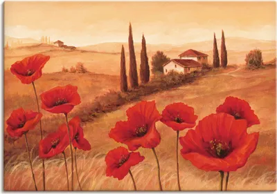 Produktbild von ARTland Leinwandbild Mohnblumen in der Toskana Größe: 70x50 cm