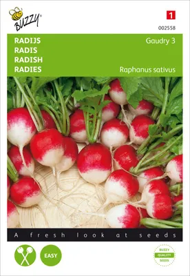 Produktbild von Radies Gaudry 3 | Radieschensamen von Buzzy Seeds