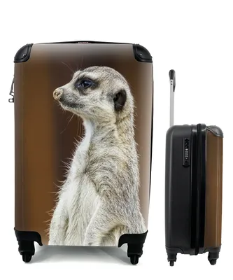 Produktbild von MuchoWow® Koffer Handgepäck Trolley Rollkoffer Kleine Reisekoffer mit 4 Rollen - Erdmännchen - Tier - Spiel - Cabin Size < 55x40x23 cm & 55x40x20 cm - Fotokoffer - Kabinenkoffer - Boardgepäck - Reise-Box - Reisekoffer - Reisegepäck - Koffer mit Bild - Trolley für Kinder
