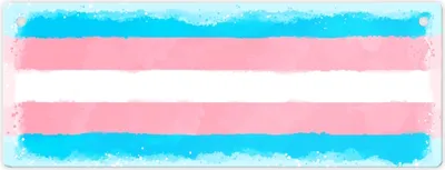 Produktbild von Pride-Flagge Transgender Metallschild L in 10,5x28cm
