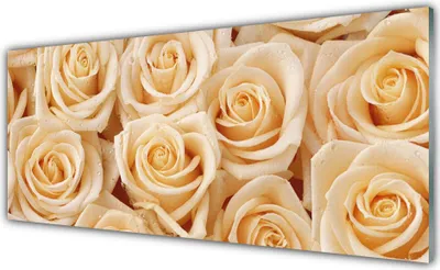 Produktbild von Glasbilder 125x50 Wandbild Druck auf Glas Rosen Pflanzen