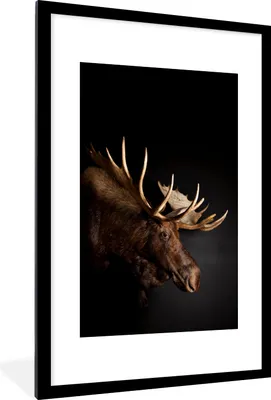 Produktbild von MuchoWow® MuchoWow® Gerahmtes Poster Elch - Geweih - Porträt 60x90 cm - Poster mit zchwarzem Bilderrahmen - Dekoration - Wandposter Wohnzimmer - Hochwertig