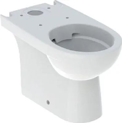 Obrázok produktu pre Geberit Selnova - Podlahové WC, bez ráfika, biele 500.488.01.7