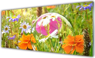Produktbild von Acrylglasbilder 125x50 Wandbild Druck Blumen Natur