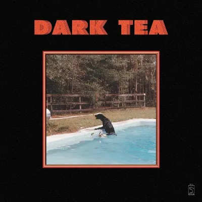 Obrázok produktu pre Dark Tea: Dark Tea: Dark Tea - Bertus Musikvertrieb - (LP / D)