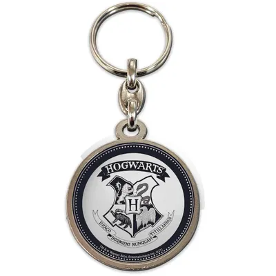 Image de Sd Toys Porte-clés Poudlard Multicolore Multicolore One Size