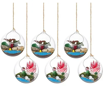 Productafbeelding van Set van 6 hangende glazen bolvormige vazen, diameter 12 cm, helder glas, geschikt voor vetplanten en luchtplanten