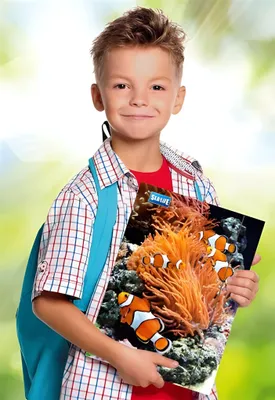 Zdjęcie produktu dla RNK Verlag 4512 Teczka na rysunki "Sea Life" - A3, z elastycznym zapięciem