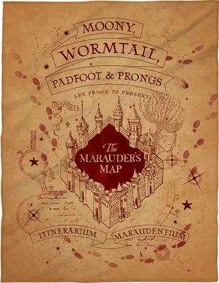 Obrázek produktu pro Harry Potter plyšová přehoz na postel pro děti 150x200 cm extra nadýchaný ze 100% polyesterového fleecu