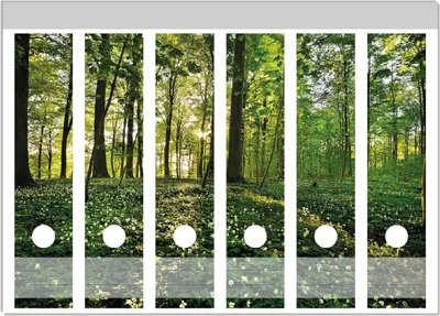 Produktbild von Wallario Ordnerrücken Sticker, selbstklebend für breite Ordner, 6 Stück, Motiv Waldanemonen und Sonnenstrahlen im Wald