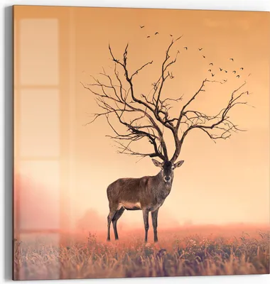 Produktbild von DEQORI Glasbild Echtglas 50x50 cm 'Zauberwaldhirsch' Wandbild Bild modern Deko