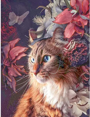 Produktbild von Diamant Painting Bilder,Katze Daiments Painting Mit Diamond Painting Zubehör,5D Diamant Painting Für Indie Aesthetic Room Decor(Cat 40*50CM)