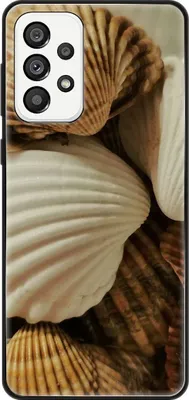 Produktbild von König Design Hülle kompatibel mit Samsung Galaxy A73 5G Kunststoff Soft Handyhülle - Handy Case Muscheln