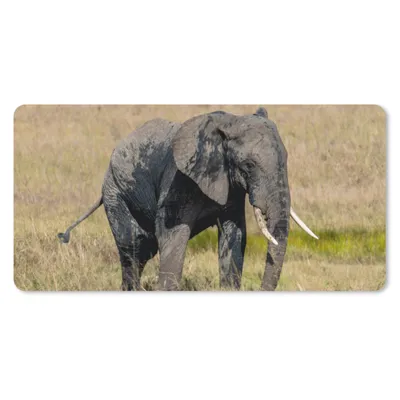 Produktbild von MuchoWow® Schreibtischunterlage Elefant - Gras - Tiere - Natur 80x40 cm - XXL Mauspad - Gaming Mauspad