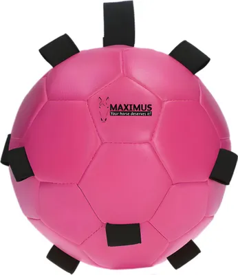 Produktbild von Maximus Fun Play Ball mit Schlaufe rosa