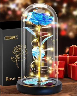 Produktbild von Ewige Rose im Glas mit LED Licht - Romantisches Weihnachtsgeschenk