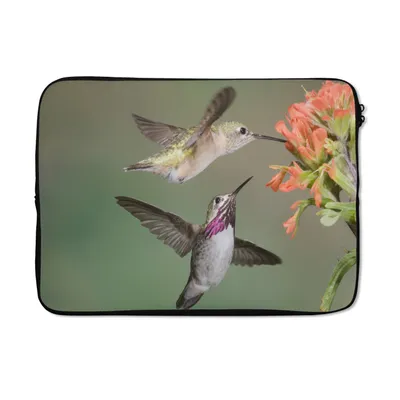 Produktbild von MuchoWow® Laptop Hülle 13 Zoll Kolibri - Vogel - Blume Laptoptasche - Laptophülle - Sleeve - Rundumschutz