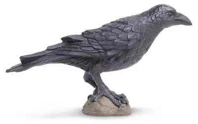 Obrázek produktu pro bird Raven junior 7,5 cm schwarz