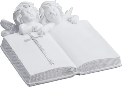 Immagine prodotto di Angelo che scava con il libro