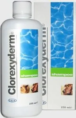 A bottle of Clorexyderm Shampoo and its packaging are shown against a white background.