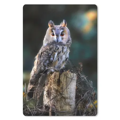Produktbild von MuchoWow® Mauspad Mousepad Eule - Herbst - Vogel - Äste 18x27 cm - Mousepads - Maus Mat - Pad - Mausunterlage