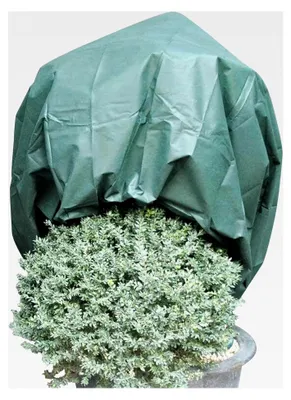 Produktbild von Winterschutzvlies 1,6 x 5 m für Pflanzen