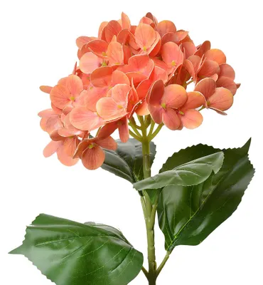 Image de Clayre & Eef Fleur artificielle hortensia 68 cm orange plastique