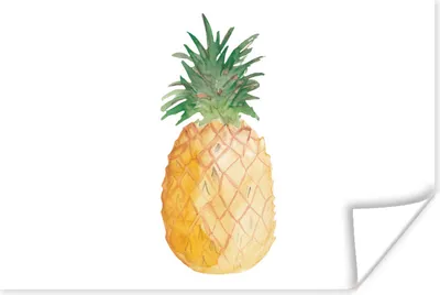 Produktbild von MuchoWow® Poster Ananas - Obst - Weiß 120x80 cm - Bilder