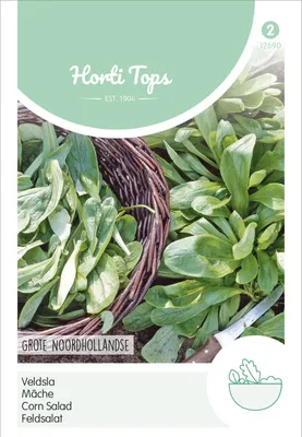 Produktbild von Feldsalat Holländischer Breitblättriger | Feldsalatsamen von Hortitops