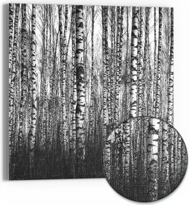 Produktbild von DEQORI Hybrid Leinwand Bild 30x30 cm 'Schönheit des Waldes' Wandbild Glas flach modern