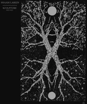 Obrázok produktu pre Shaam Larein: (180g) (Limited Numbered Edition) - - (Vinyl / Pop (Vinyl))