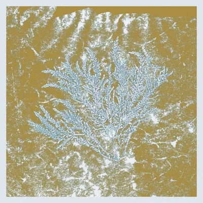 Obrázek produktu pro Huerco S.: For Those Of You Who Have Never (Reissue)