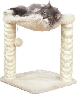 Produktbild von Katzenbaum Kratzbaum mit Hängematte TRIXIE, 50 cm hoch, Creme, 41x41 cm Grundfläche, Sisal