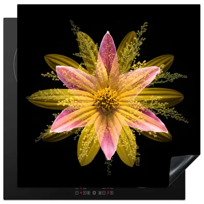 Produktbild von KitchenYeah© Herdabdeckplatte Eine gelbe Blume auf schwarzem Hintergrund , 78x78cm, Küche Deko, Glaskeramikkochfeld Herdabdeckung, Abdeckplatte fùr Kochfeld