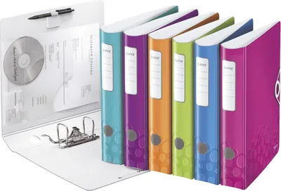 Image de 10x Leitz 1107-00-99 Classeur Active WOW A4 65 mm assortis