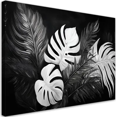 Produktbild von Leinwandbild Monstera-Blätter Schwarz und Weiß 120x80 Feeby Schwarz-Weiß bild für die wand bereit zum aufhängen