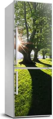 Produktbild von Tulup Kühlschrankdekoration - 70x190 cm - Aufkleber auf dem Kühlschrank - Landschaftspark