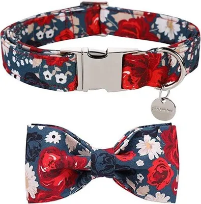 Produktbild von Famanu Hundehalsband mit rotem Blumenmuster - Verstellbar, für kleine und mittelgroße Hunde