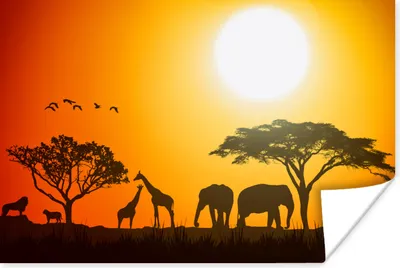 Produktbild von MuchoWow® Poster Elefant - Wilde Tiere - Afrika 180x120 cm - Fotoplakat