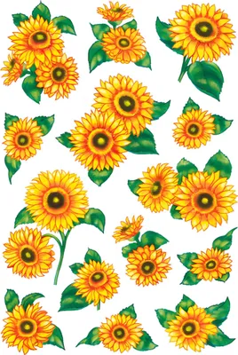 Produktbild von HERMA 3346 10x Sticker DECOR Sonnenblumen, beglimmert