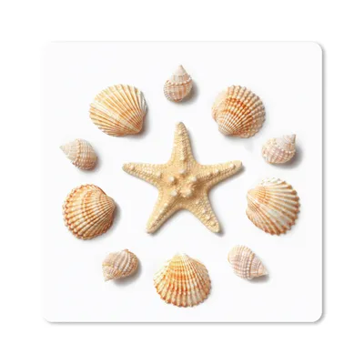 Produktbild von MuchoWow® Mauspad Mousepad Muscheln - Seesterne - Muster 20x20 cm - Mousepads - Maus Mat - Pad - Mausunterlage - Desk Mat - Bureauartikeln